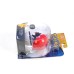 Pokemon Litten and Poke Ball Clip n Carry Mini Figure Set