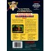 Ghosts 'n Goblins - NES
