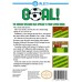 Goal! - NES